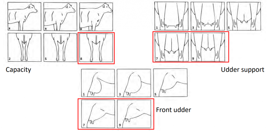 Image source: Dr. Nick Sneddon