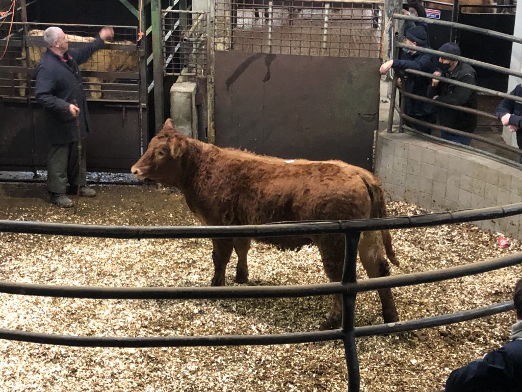 Image taken before Covid-19 restrictions