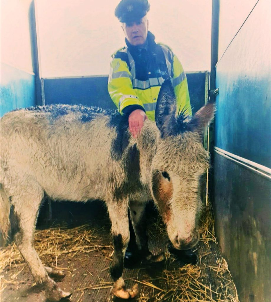 Image source: Garda Síochána Western Region