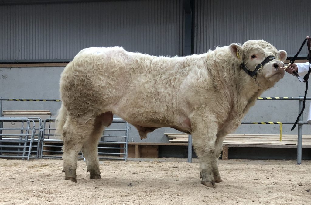 Rathfeston Pablo (et)