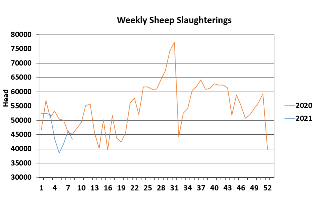 Sheep kill week ending February 28. Data source: DAFM.