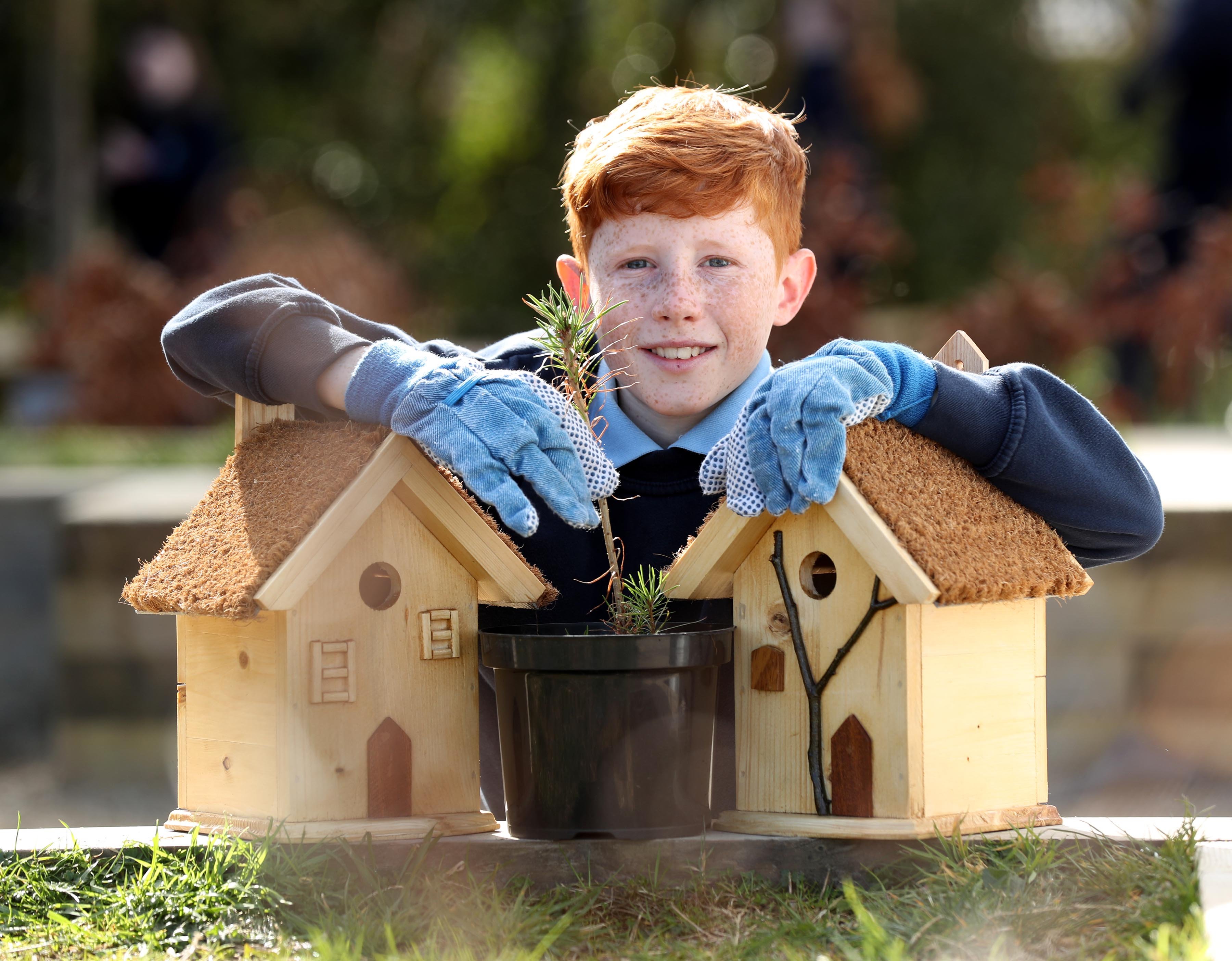Darryl Pyper-Dill a sixth class pupil from Lusk Senior National School in Co Dublin celebrates National Tree Week 2021