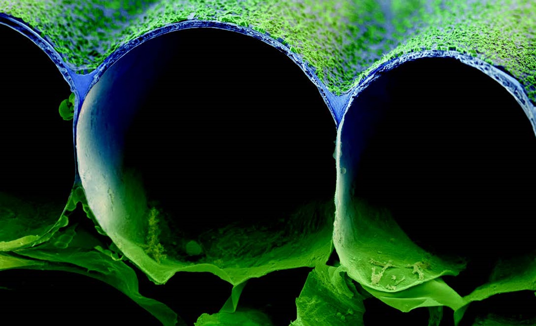 Inner leaf reservoirs