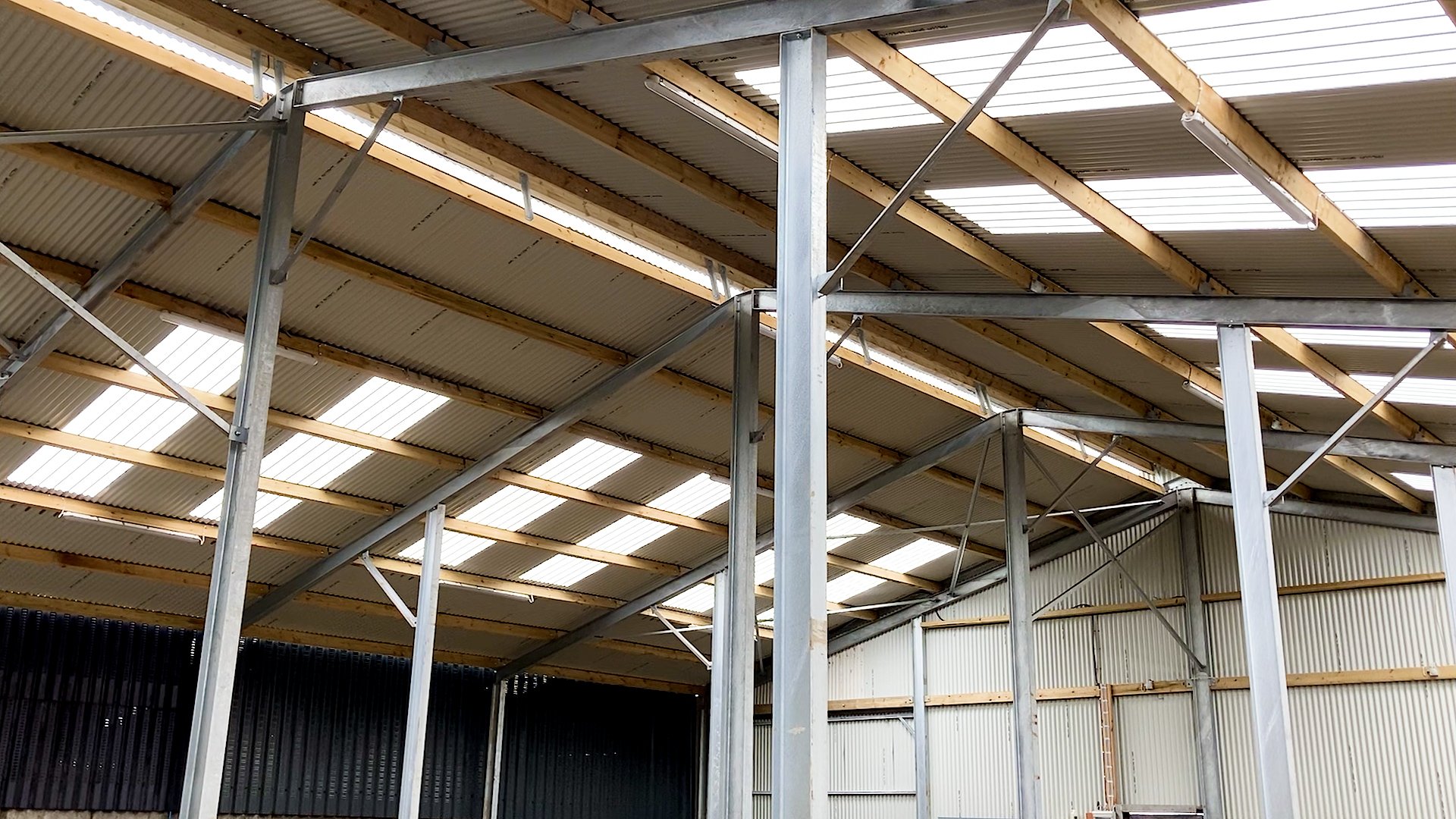 Plenty of natural daylight comes into the shed