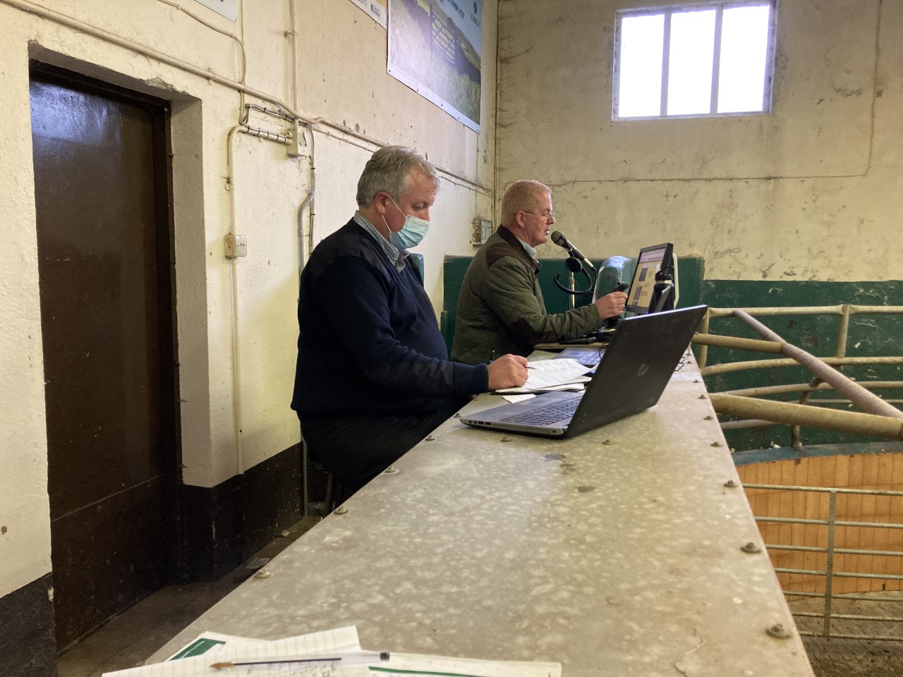Auctioneer Gerry Campbell running the show at Ballymote Mart