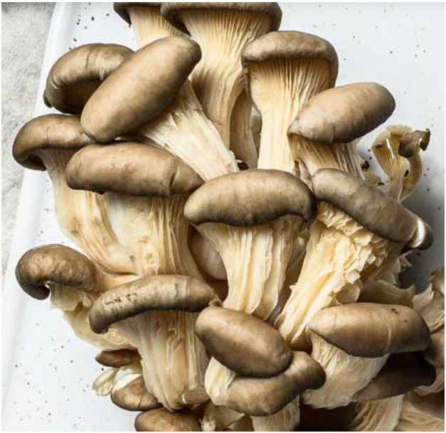 Grey oyster mushroom. Image source: Garryhinch Wood
