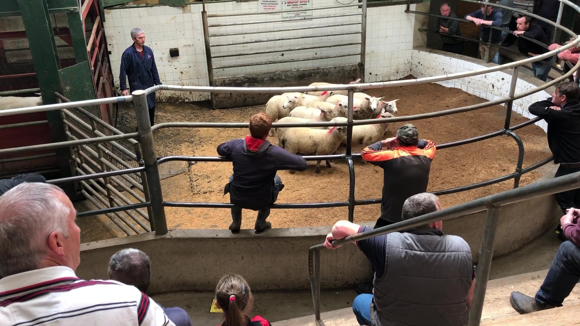 Picture taken before masks were made compulsory to wear at marts