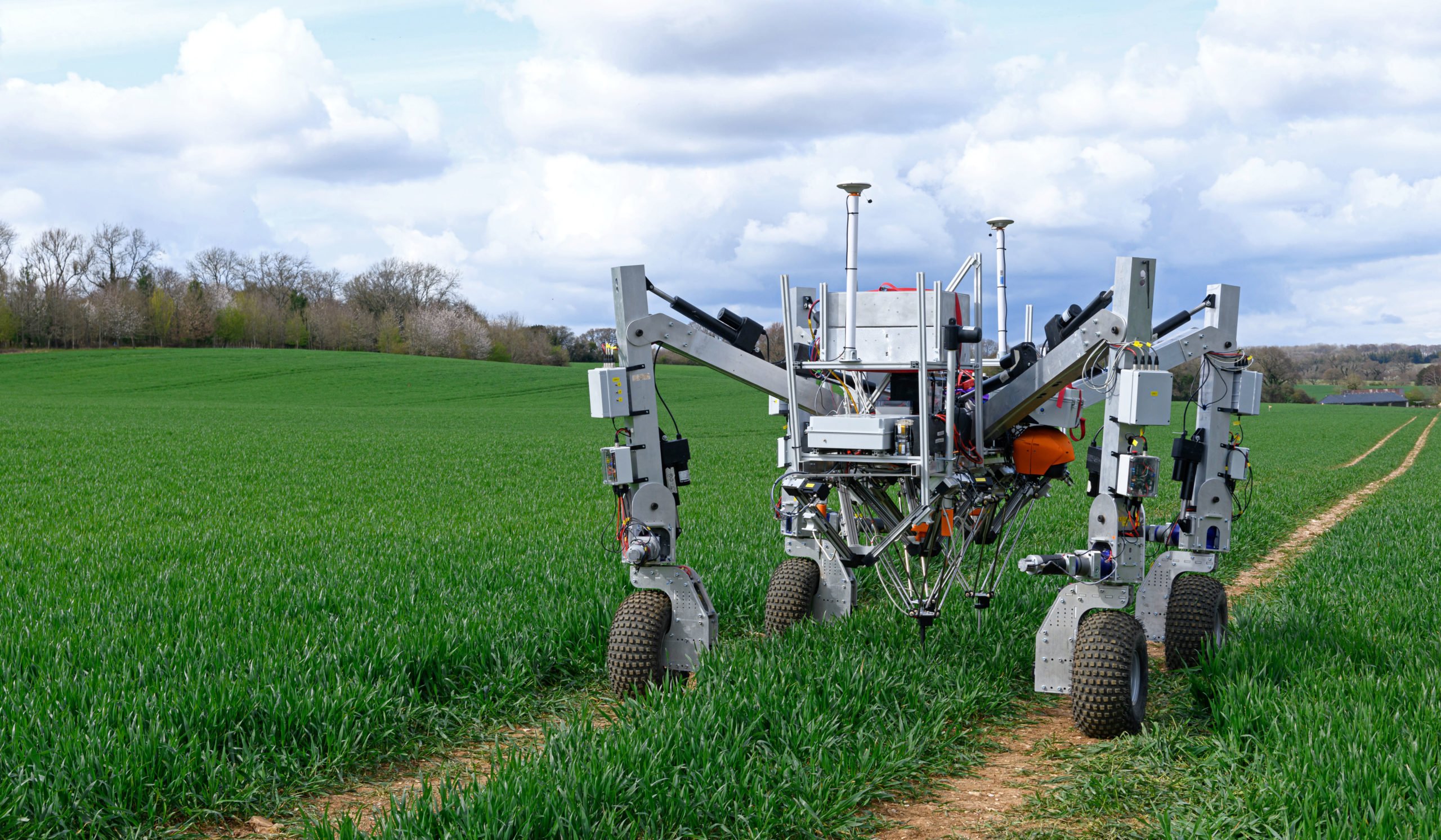 Dick is equipped to eradicate weeds identified by Tom