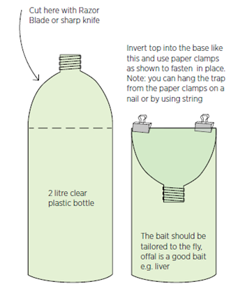 Creating a DIY fly trap