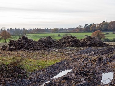 Open dung heaps