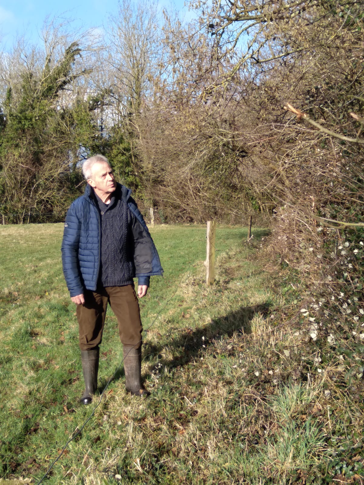Michael Hickey, pictured on his organic beef farm in south TipperaryImage source: Hedgerows Ireland