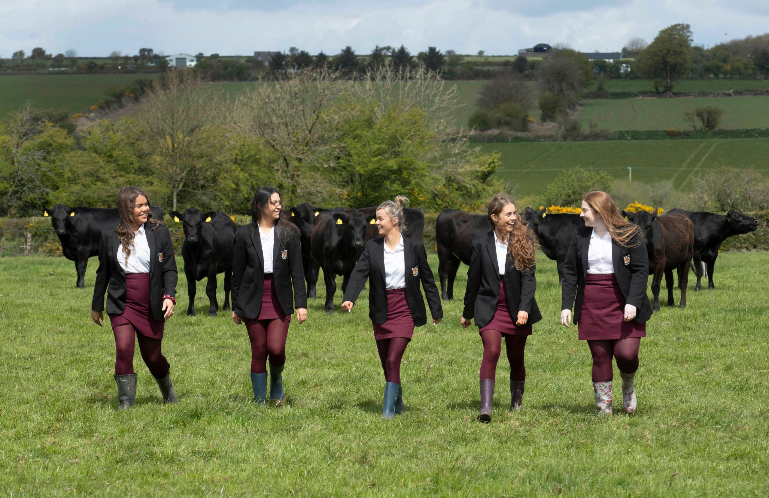 Outstanding in their field - the winners of the 2021 Certified Irish Angus School’s Competition