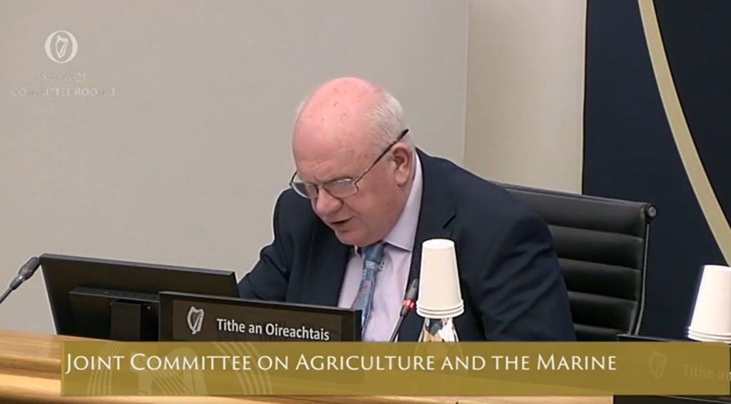 Chair of the Joint Oireachtas Committee on Agriculture, Food and the Marine, Jackie Cahill
