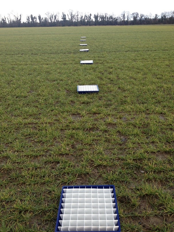 Tray test