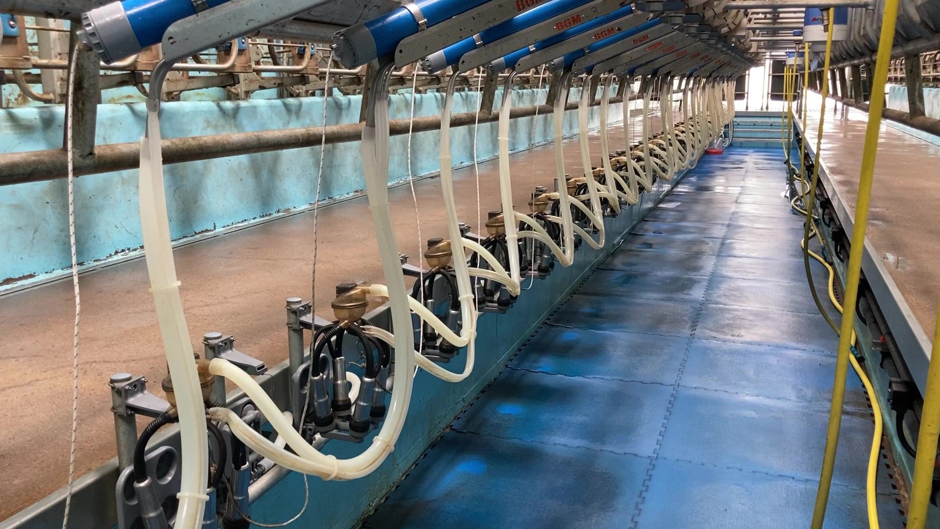 28-unit Boumatic Gasgoigne Melotte Swing-over milking parlour
