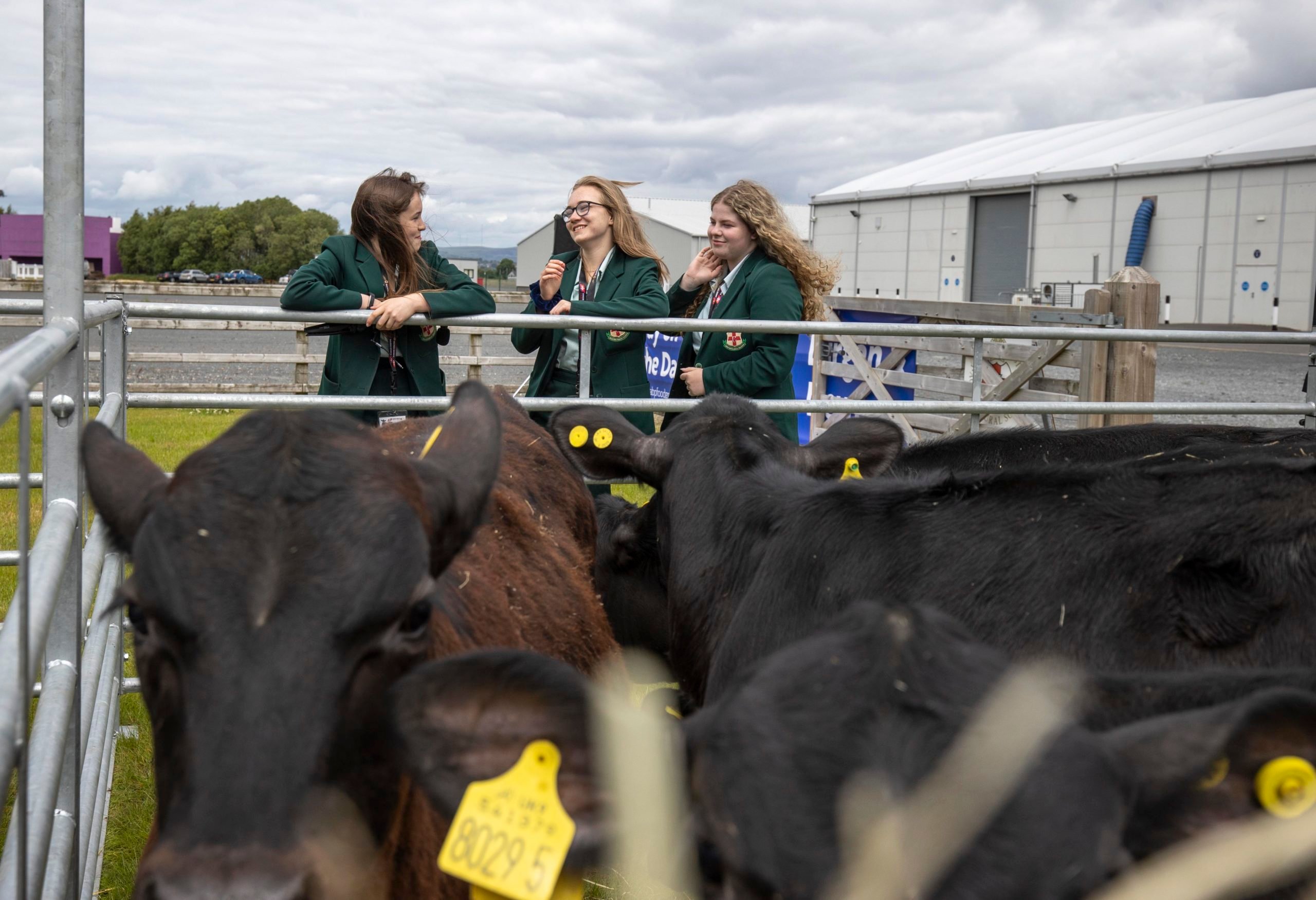 2021 ABP Angus Youth Challenge finalist team from Friends’ School Lisburn, Meabh Quinn; Molly Nelson and Rachel McEntee