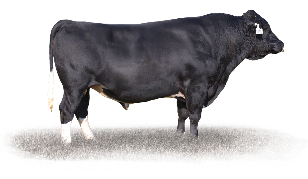 Image source: LIC Arkan MGH Backdrop-ET S2F
