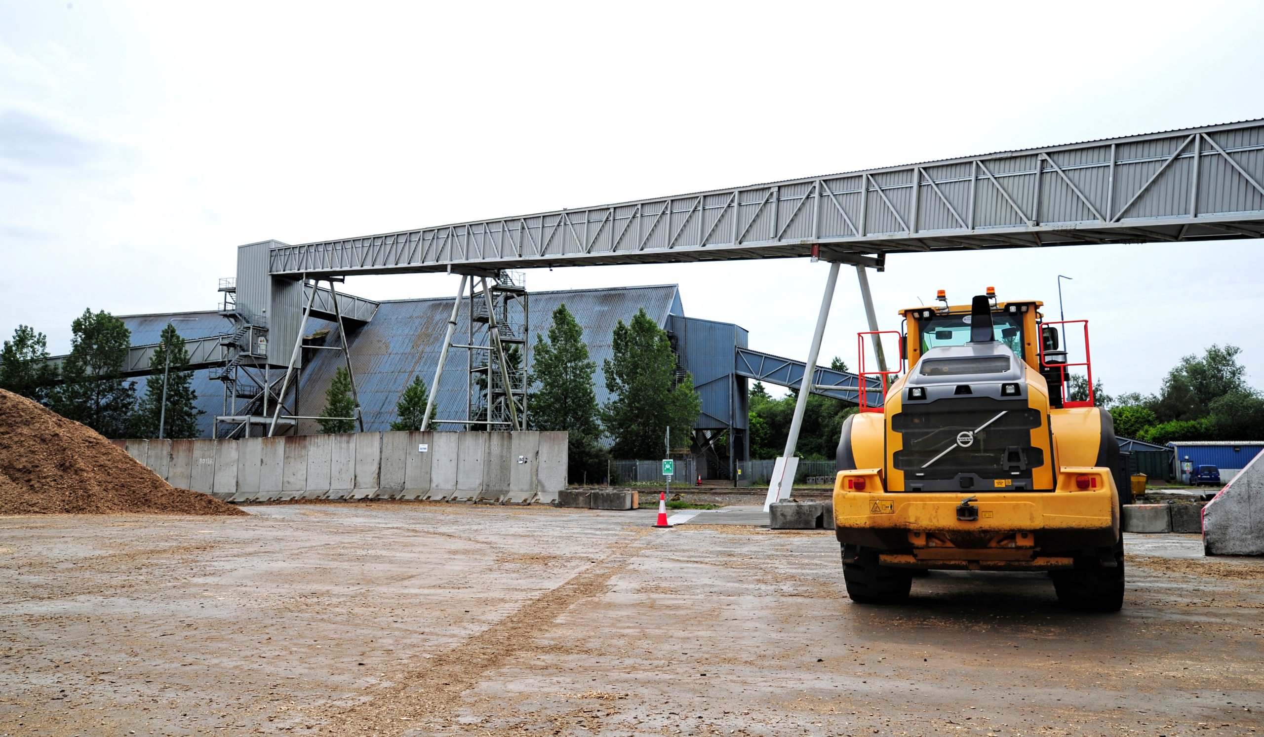 The biomass is taken to the storage building by conveyor