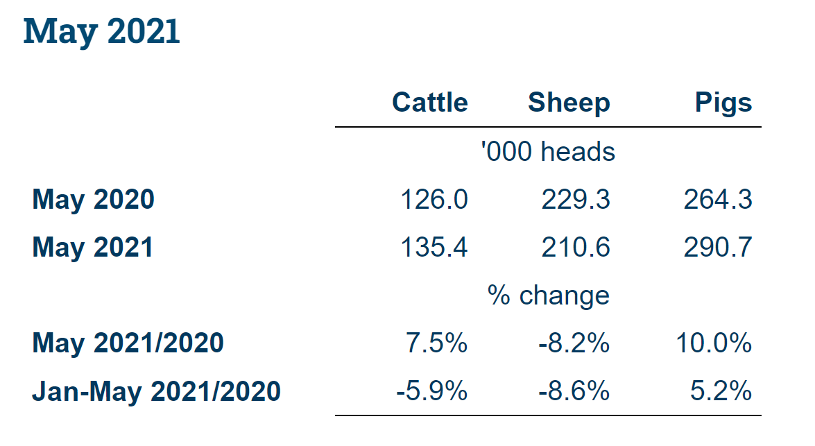 Livestock slaughterings. Image source: CSO