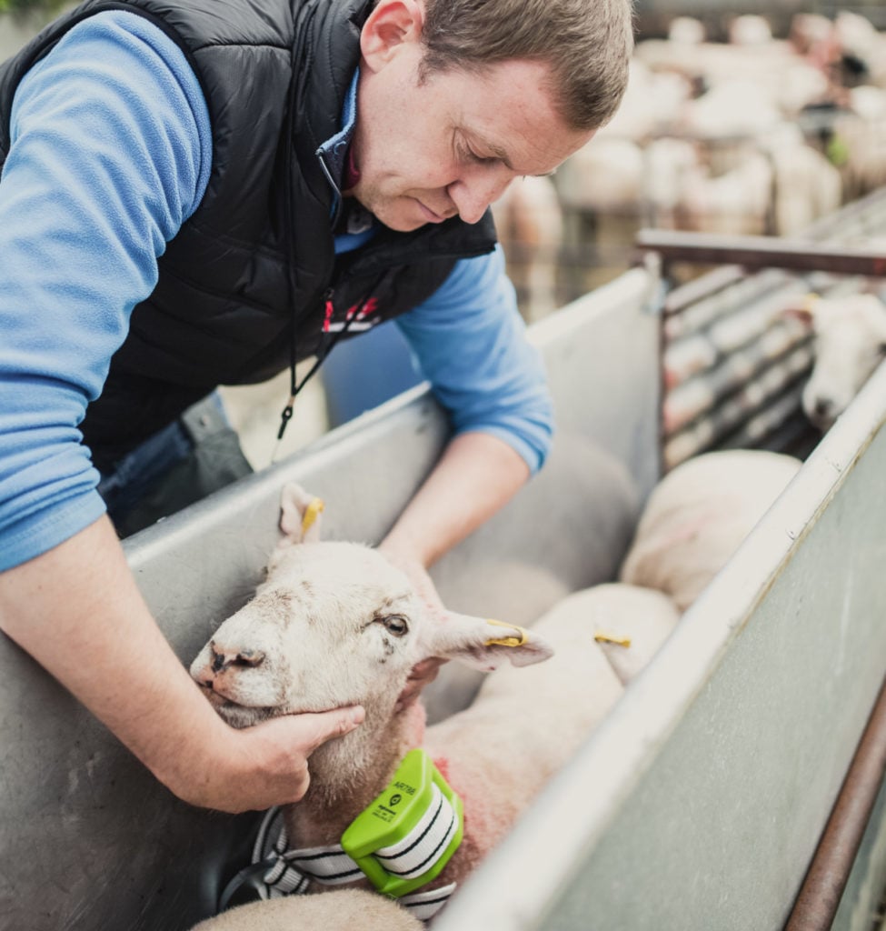 National Trust images/Paul Moane