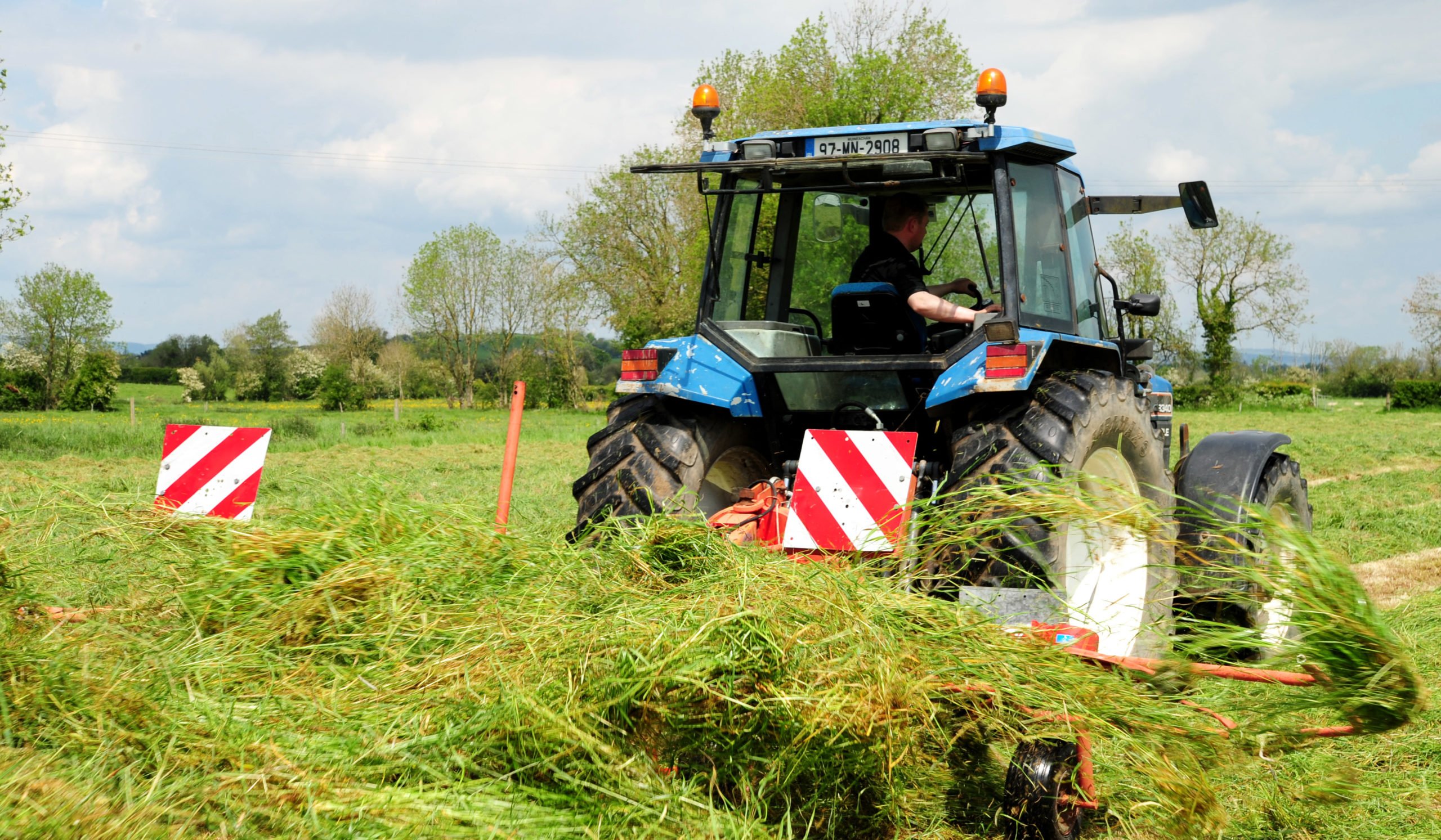 Tedding-out grass