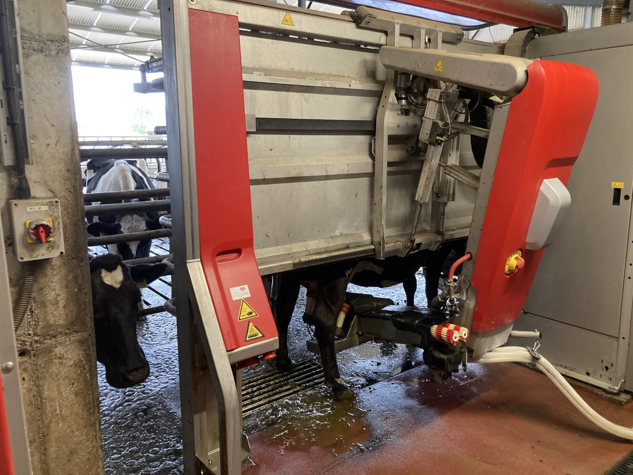 Lely Astronaut A5