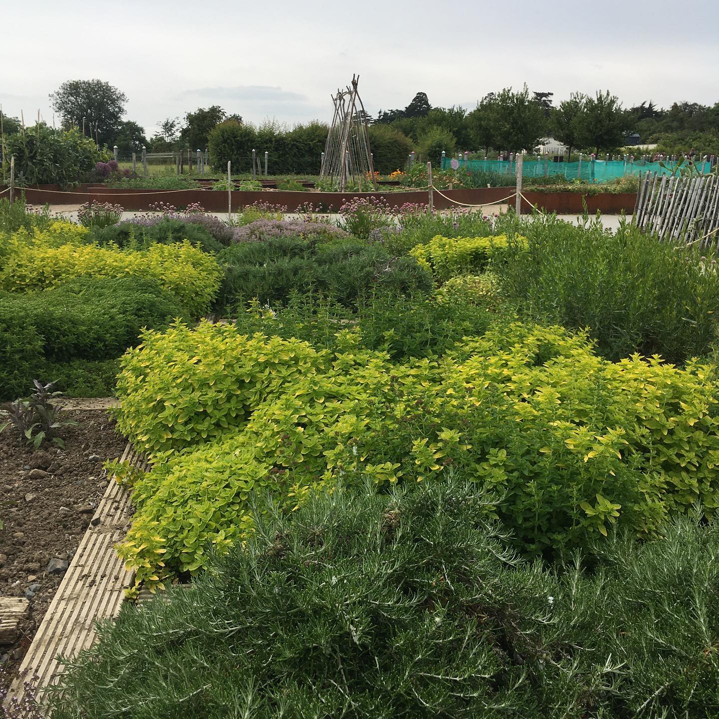 Airfield estate via Food on the edge's Facebook