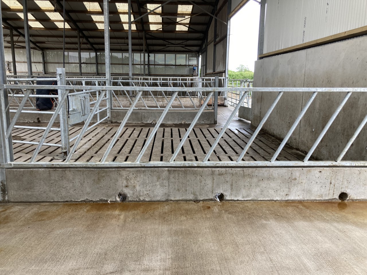 Circular cuts made through the concrete help to drain away effluent/faeces from the dry pens and feeding passageway
