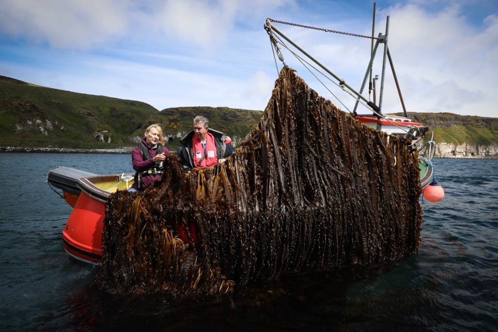 Image source: Kelvin Boyes, Press Eye