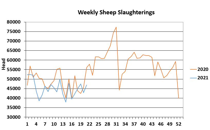 Sheep kill week 21. Data source: DAFM