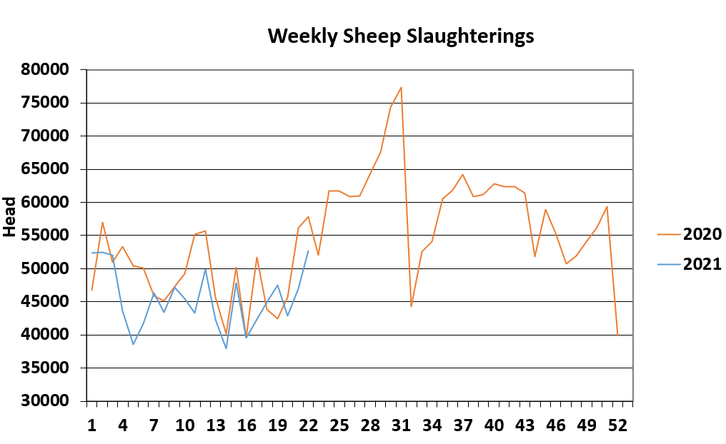Sheep kill week 22. Data source: DAFM