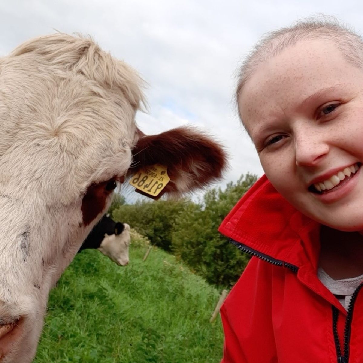 Image source: Irish Cancer Society