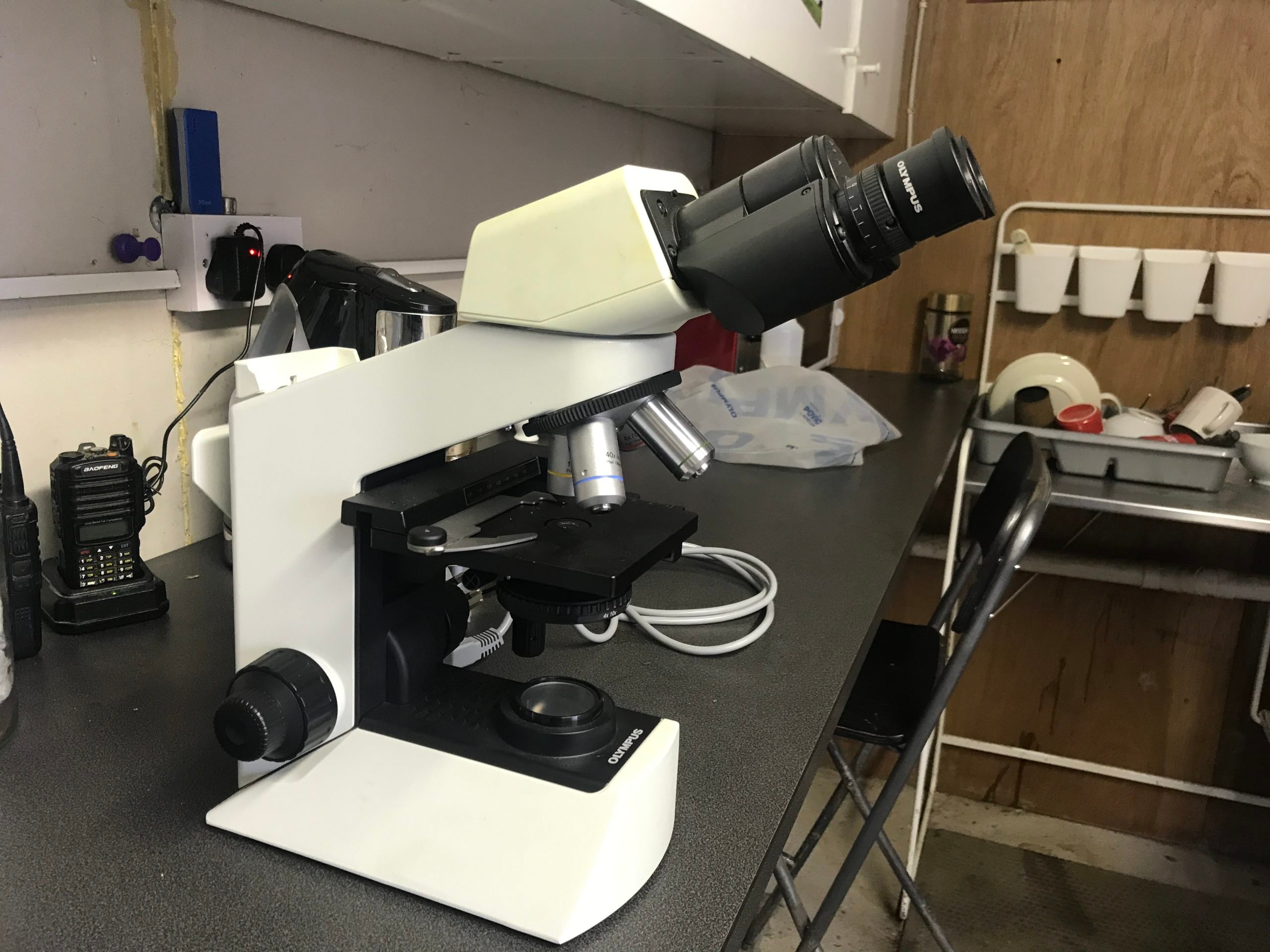Microscope used to monitor faecal samples for parasites