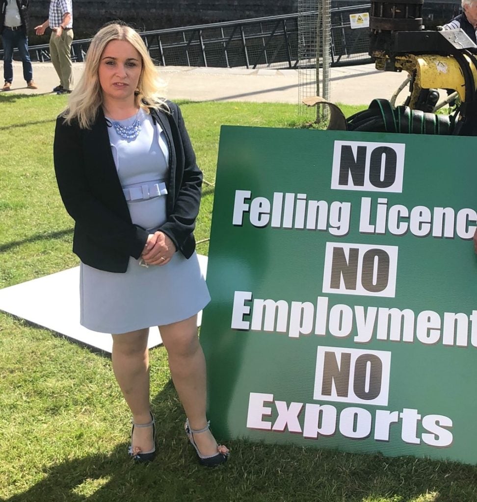 Deputy Carol Nolan at the IFA-led forestry protest at the Dáil this week