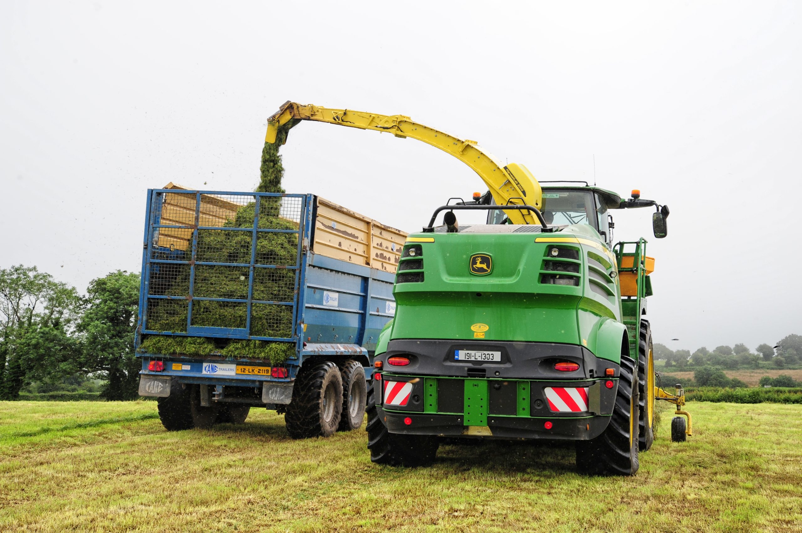 The dairy fields were treated as one, but yield variations point to the potential of varying inputs