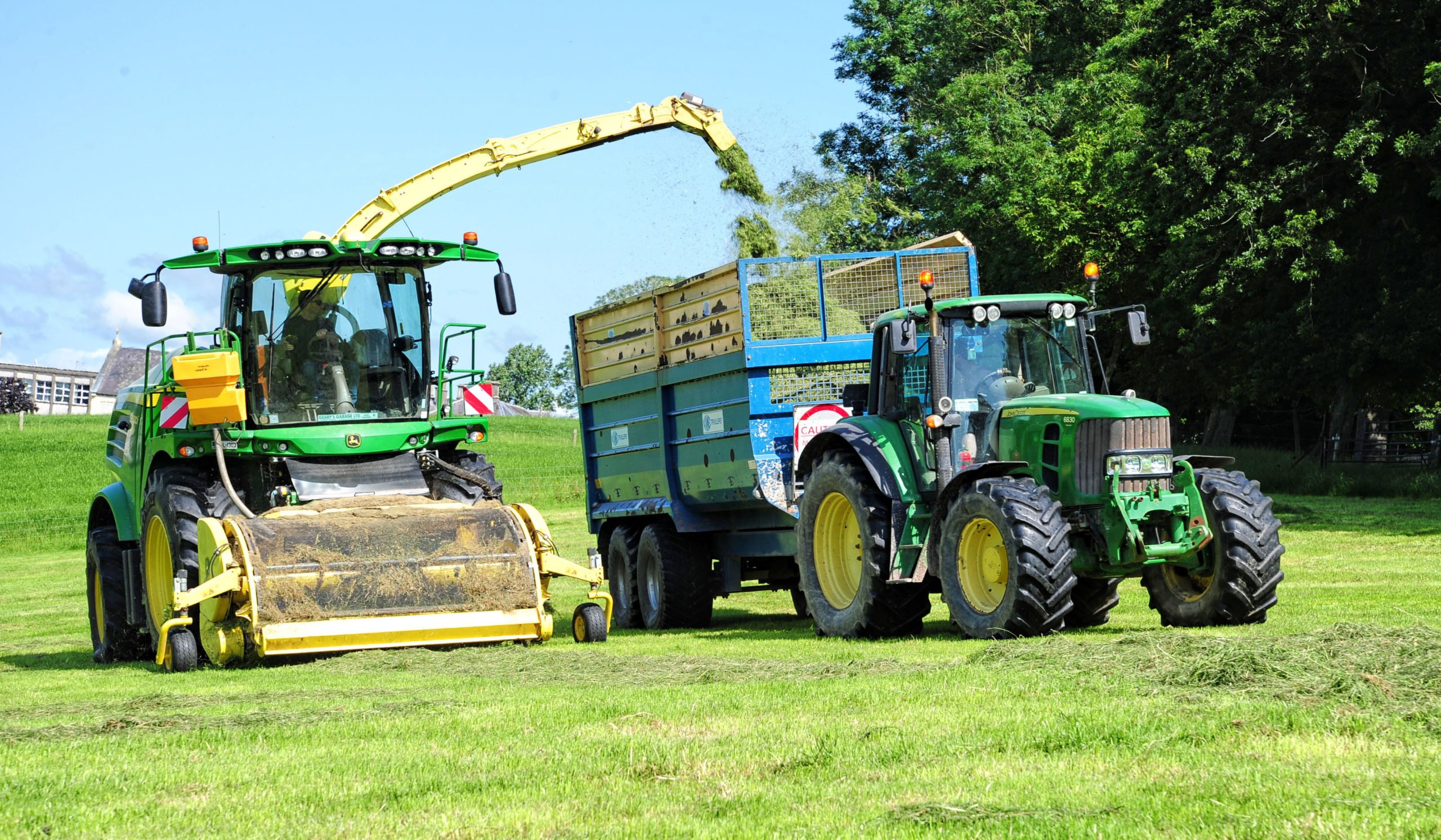 Thin pickings on a sheep paddock