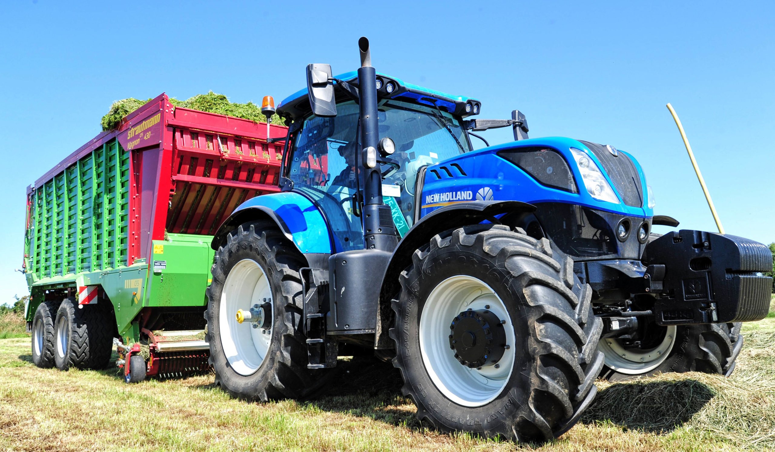 Strautman Magnon 430