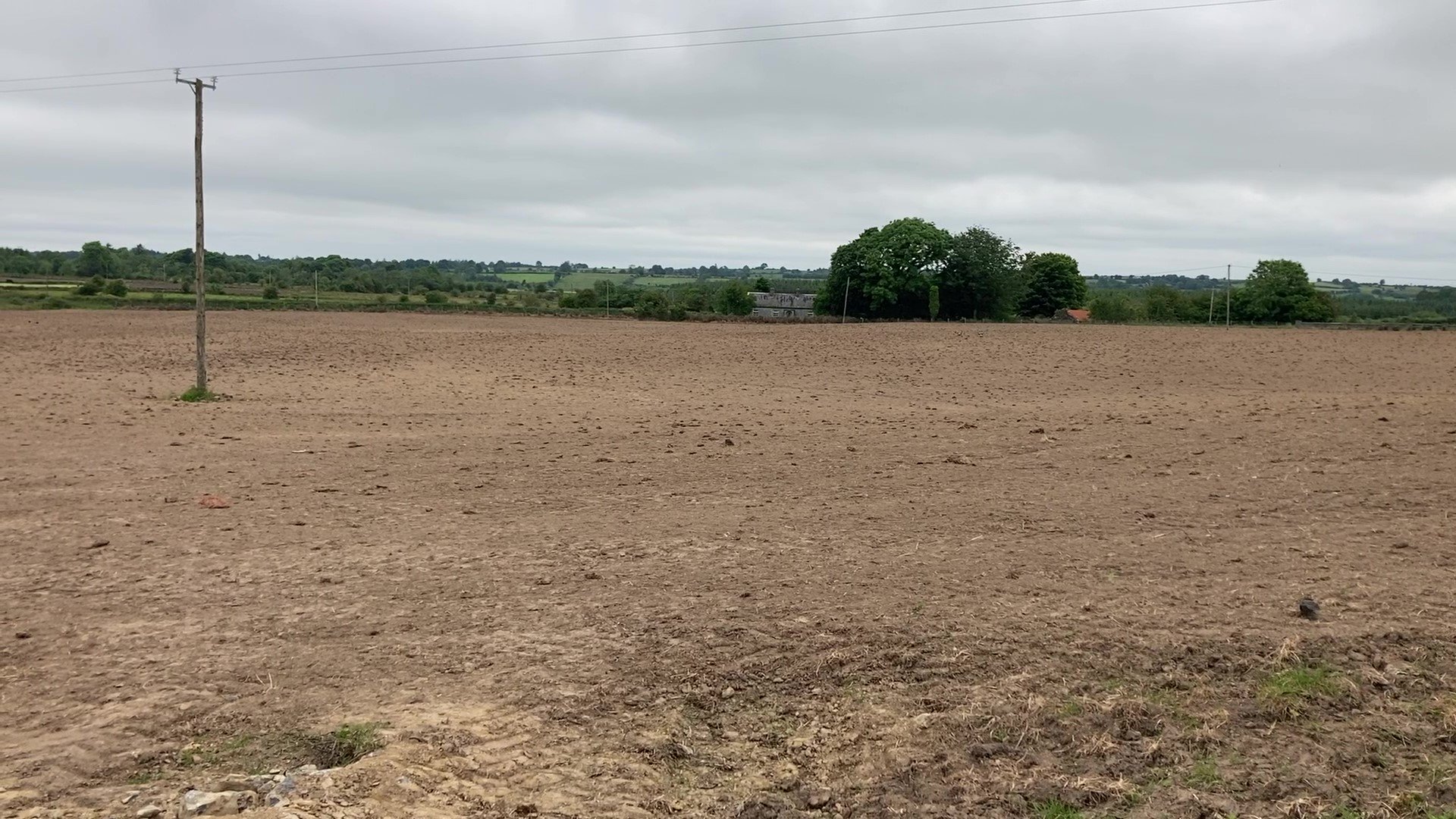 Grass/clover mix was seeded in this 9ac field