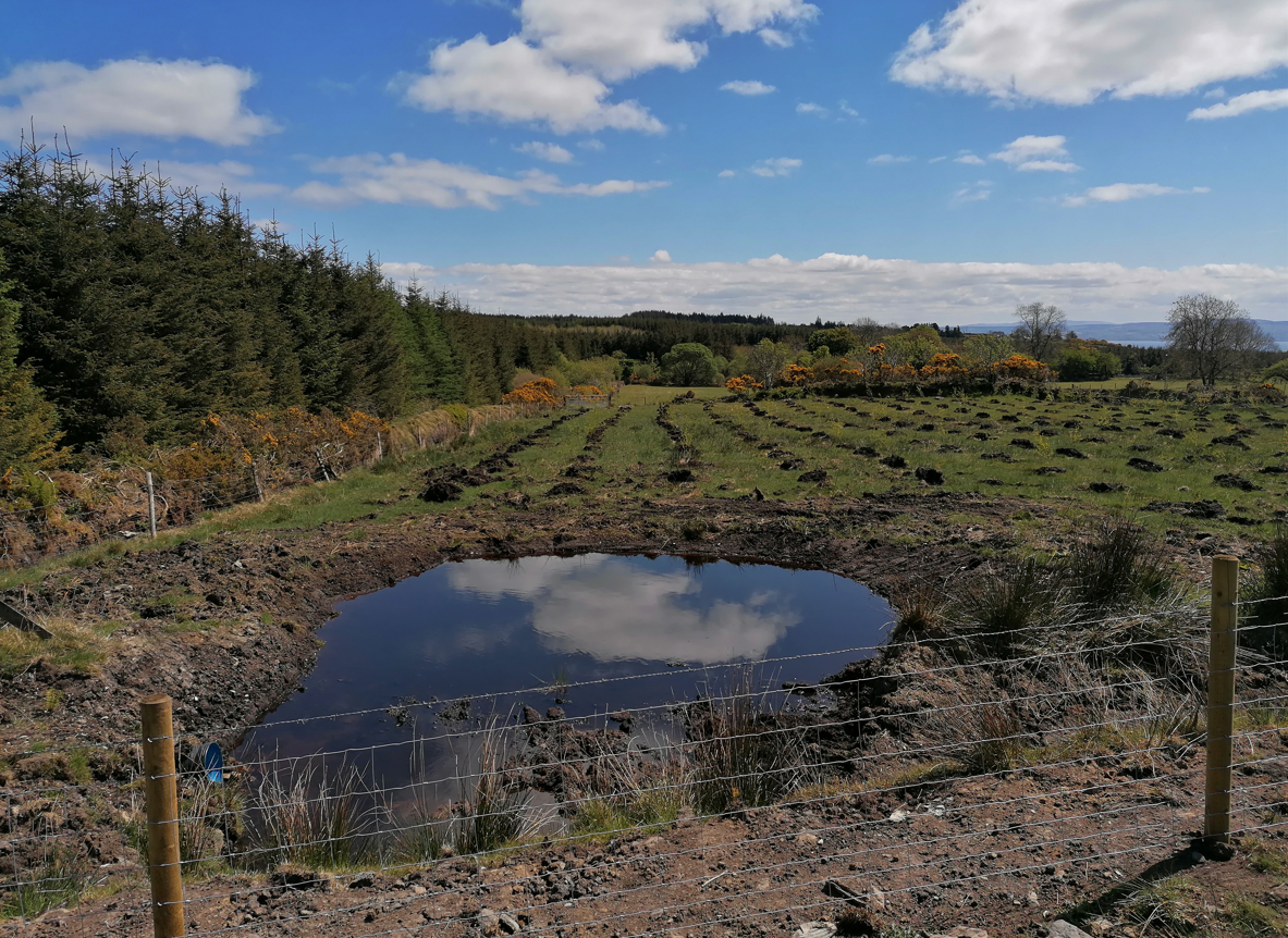 Biodiversity-friendly features on the farm
