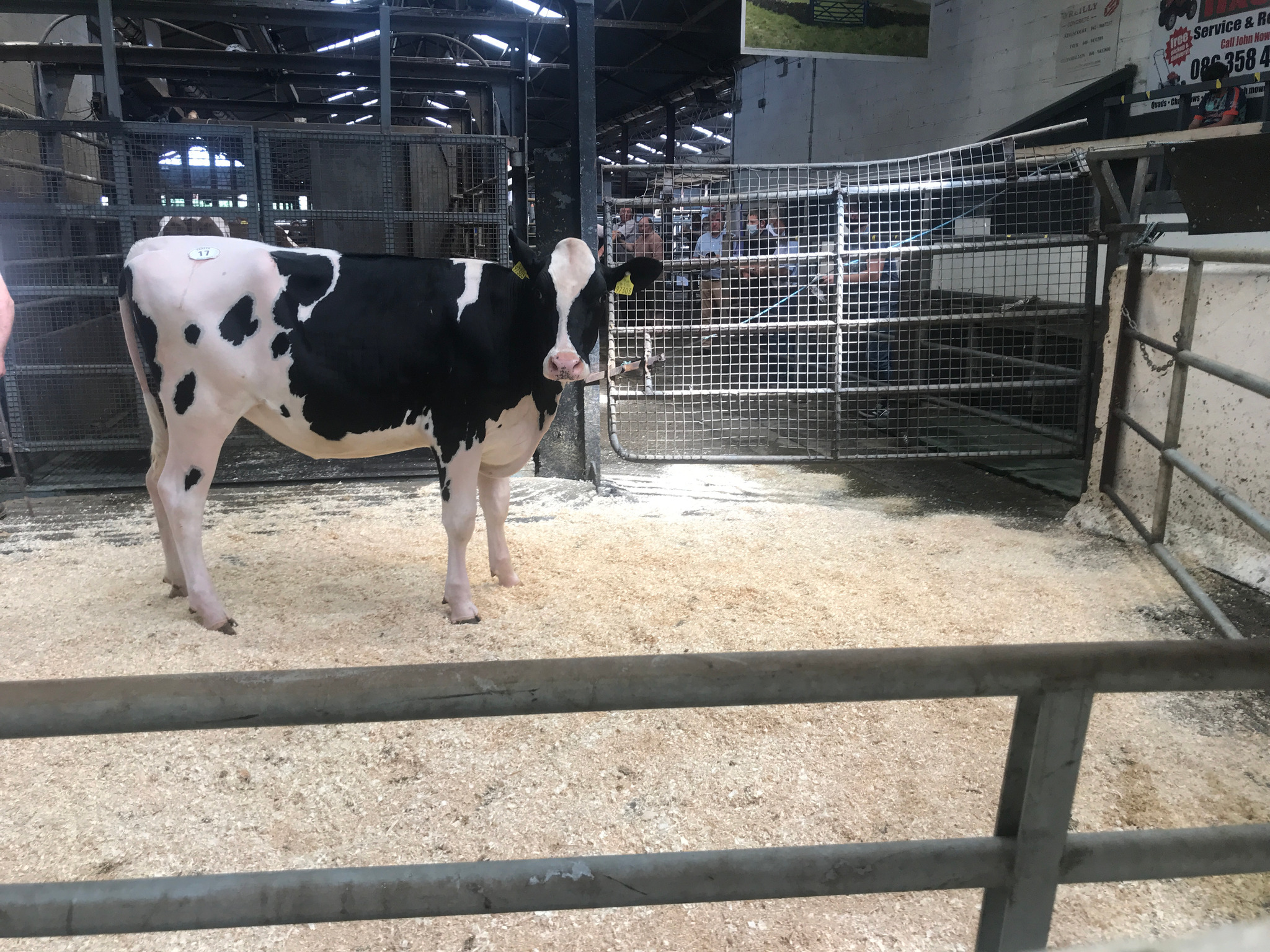 Lot: 17 Monamore P Halo 7303 ET Sold for €4,700