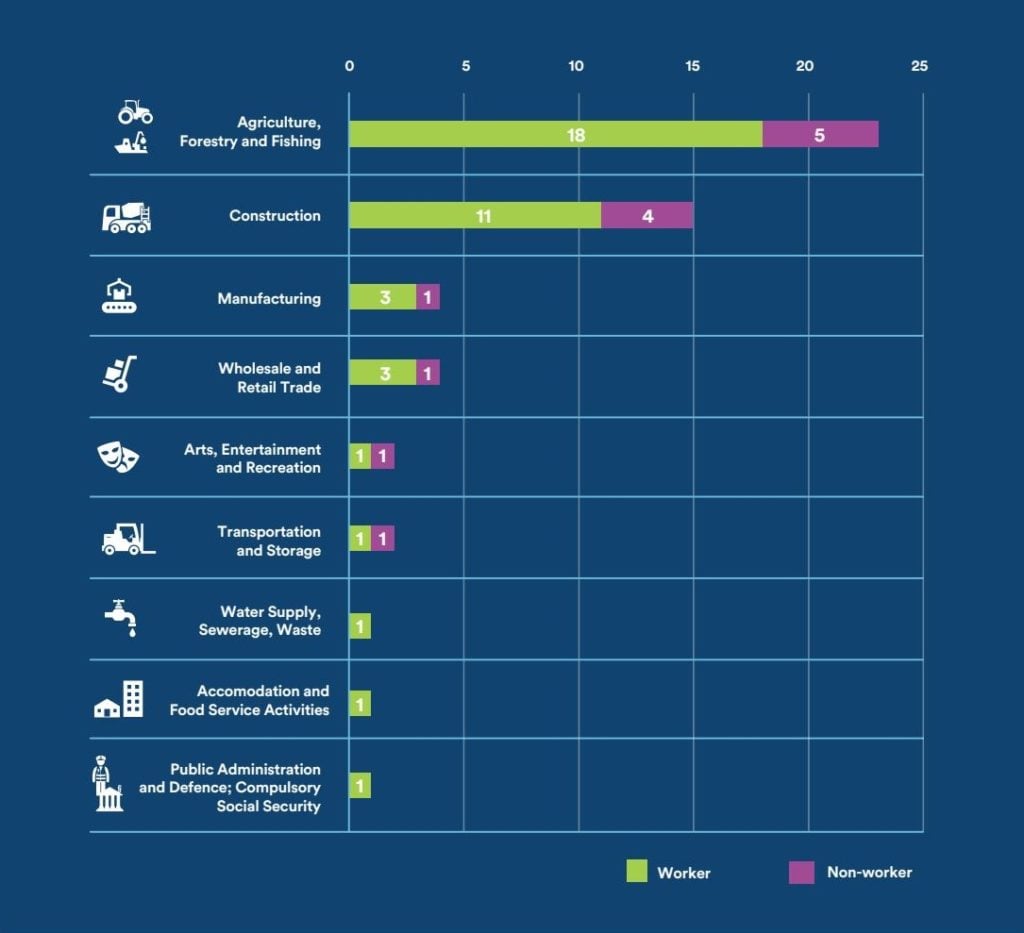Number of fatal work-related incidents to workers and non-workers by NACE economic sector 2020 (HSA)