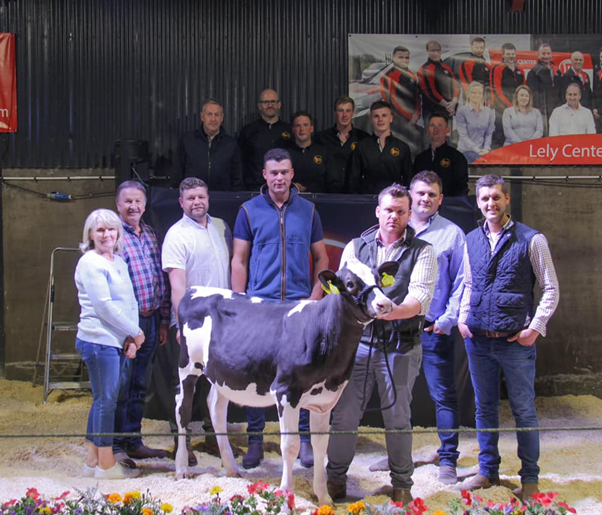 Image source: Evie TomlinsonGlasson Ebron Mo Irene *RC Made top price of the day at 14,000gns
