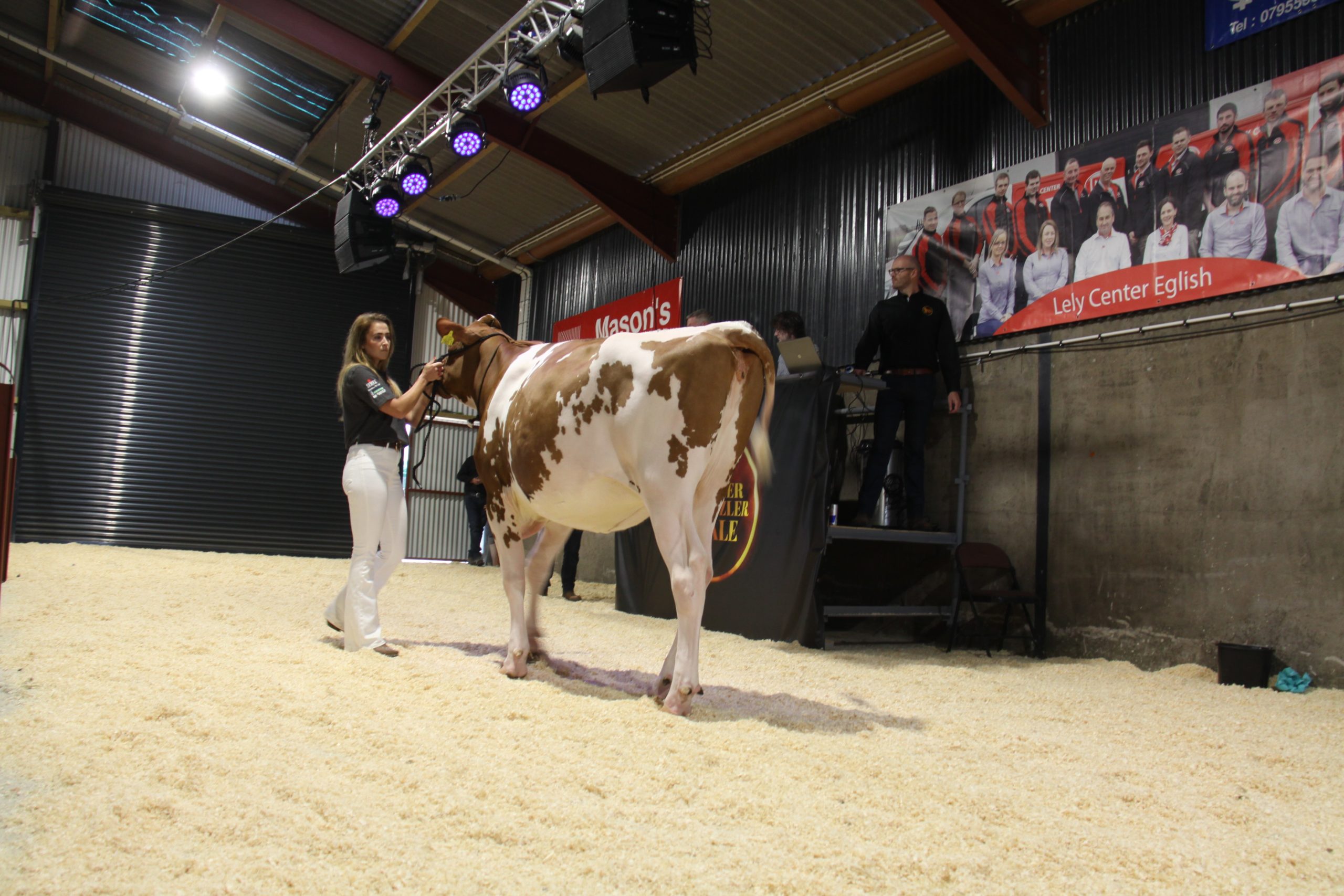 Image source: Evie TomlinsonLot 14: Glasson Artisan A Jacuzzi Red ET sold for 5,000gns