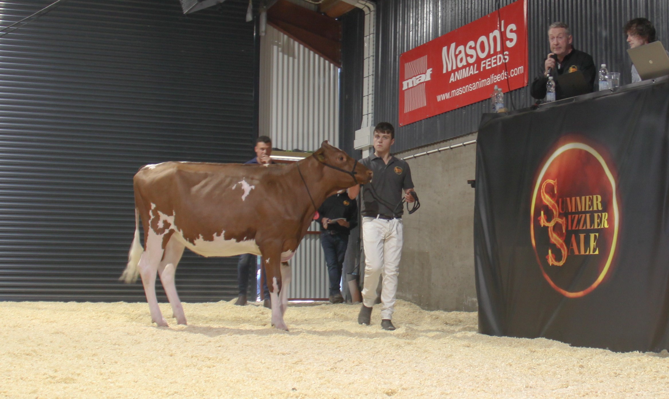 Image source: Evie TomlinsonLot 15: Annaghmore Arti Jacuzzi Red ET sold for 6,000gns
