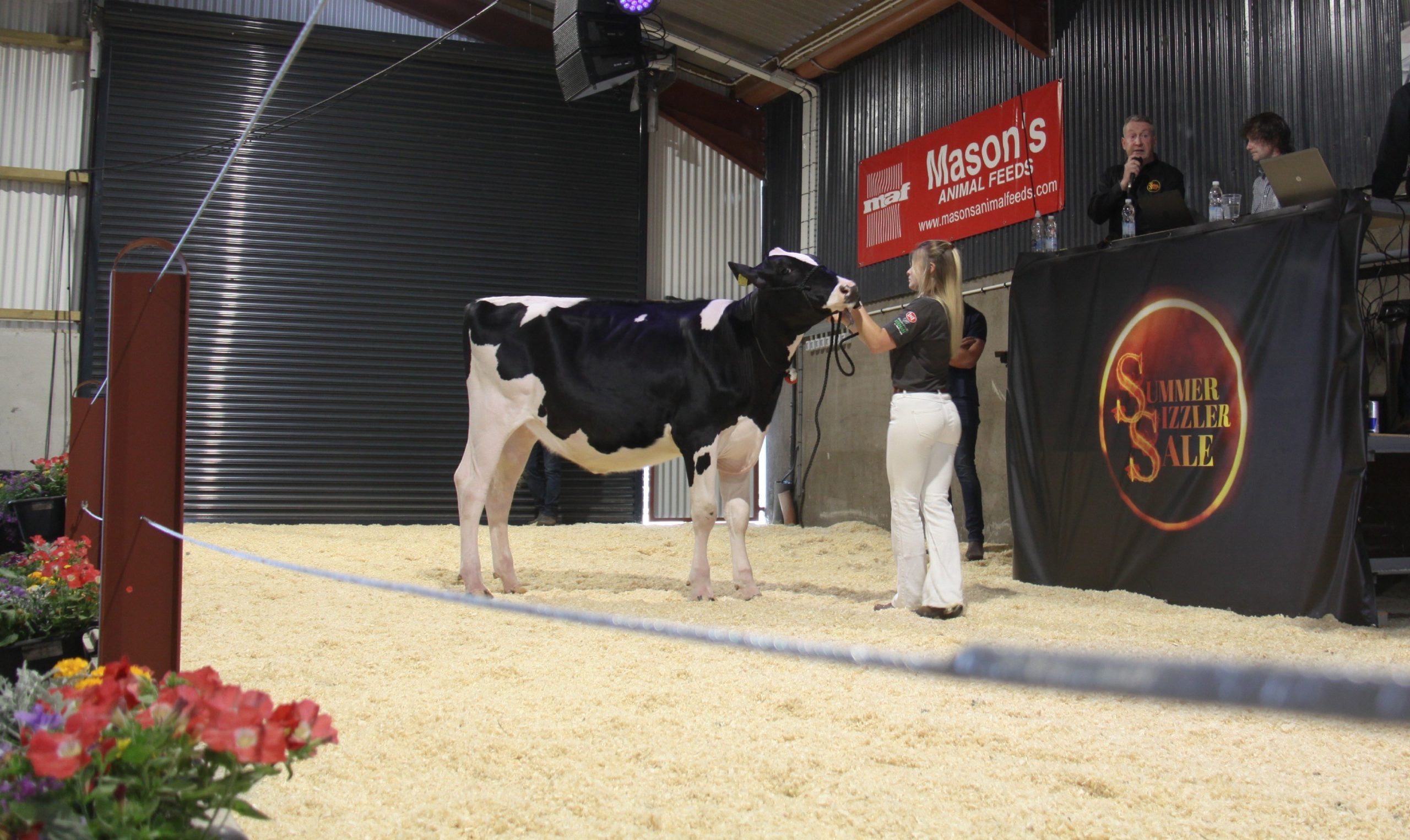 Image source: Evie TomlinsonLot 18: Annaghnore Atwood MJ Danoise sold for 6,000gns