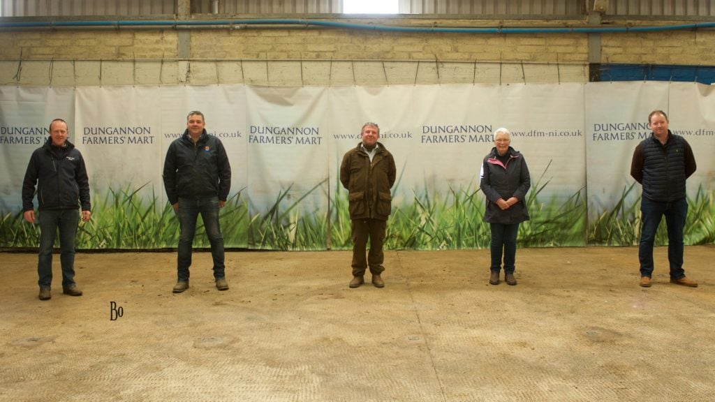 Representatives from the four breeds: Brian McGartland, Blonde; Keith Nelson, Simmental; Trevor Wylie, Dungannon Farmers Mart; Anne Morrison, British Blue; and Seamus Connell, Salers