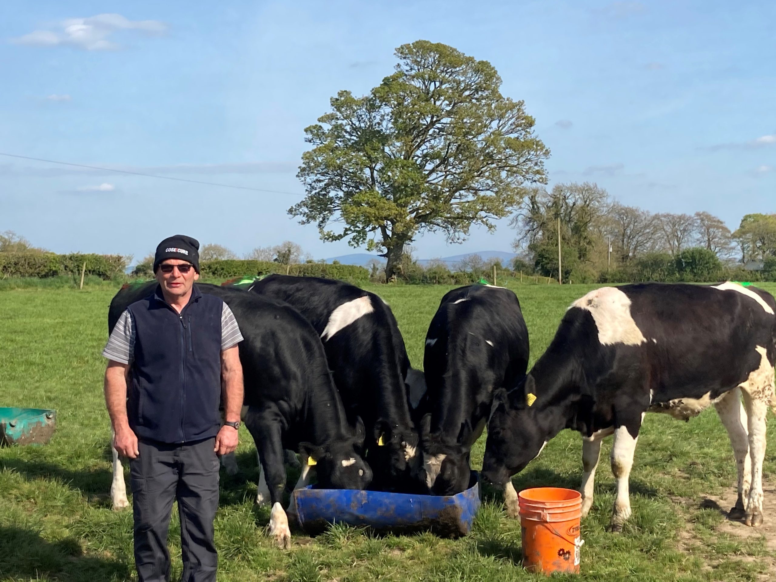 Kildare dairy farmer Brian Gray