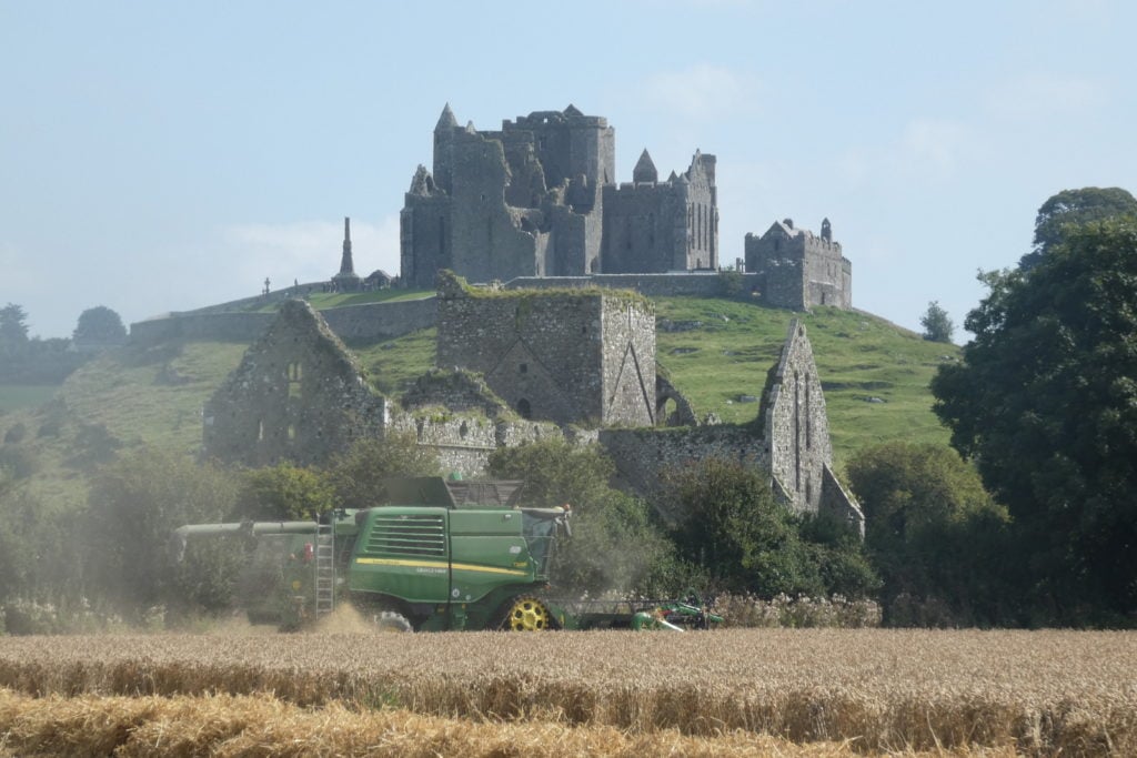 Image: David H. Moloney