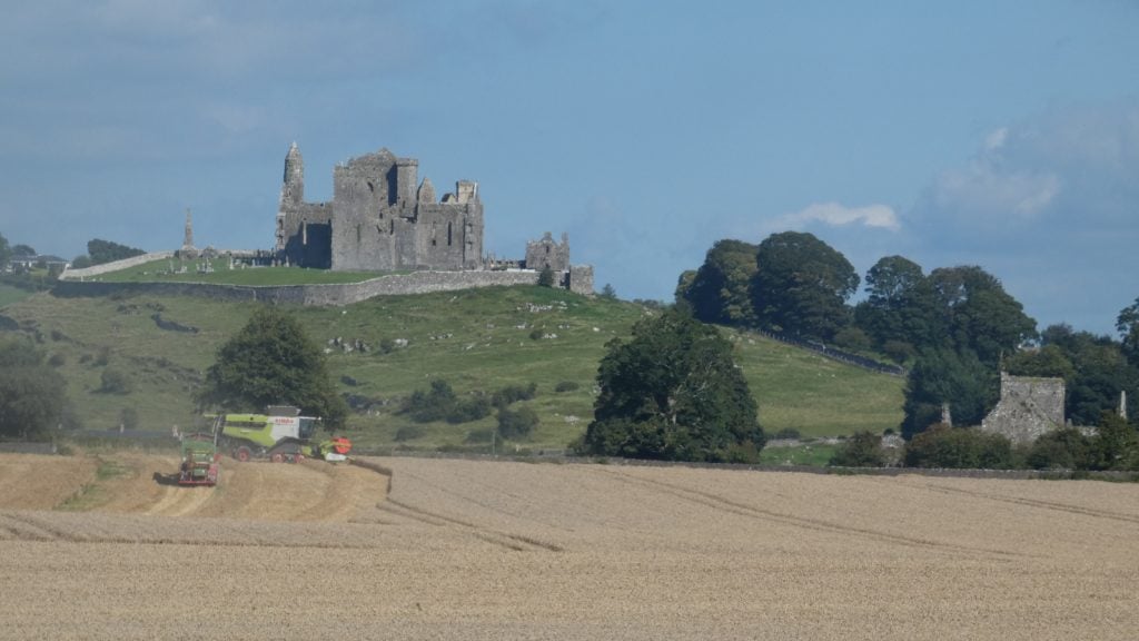 Image: David H Moloney