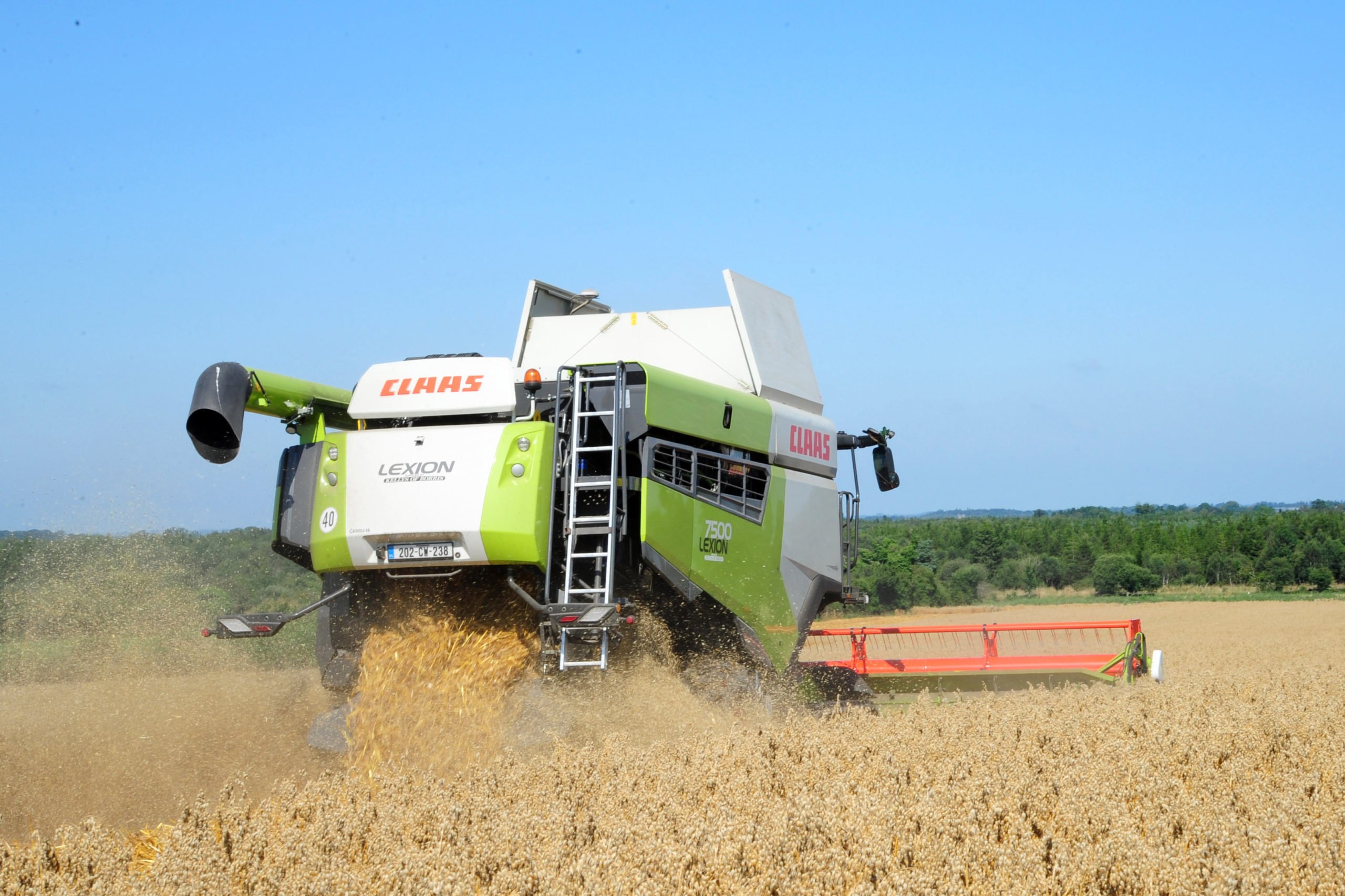 Ideal cutting conditions at last as the Lexion gets down to the job in hand